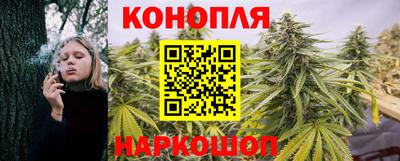дурь Заводоуковск