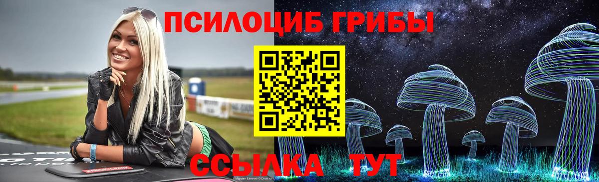 Псилоцибиновые грибы прущие грибы Медногорск